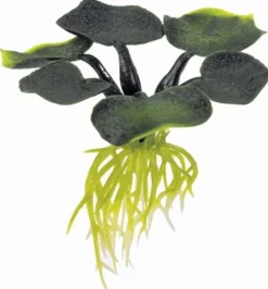 Exo Terra Floating Water Hyacinth