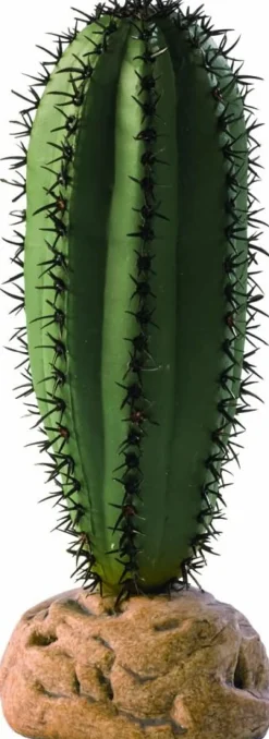 Exo Terra Saguaro Cactus