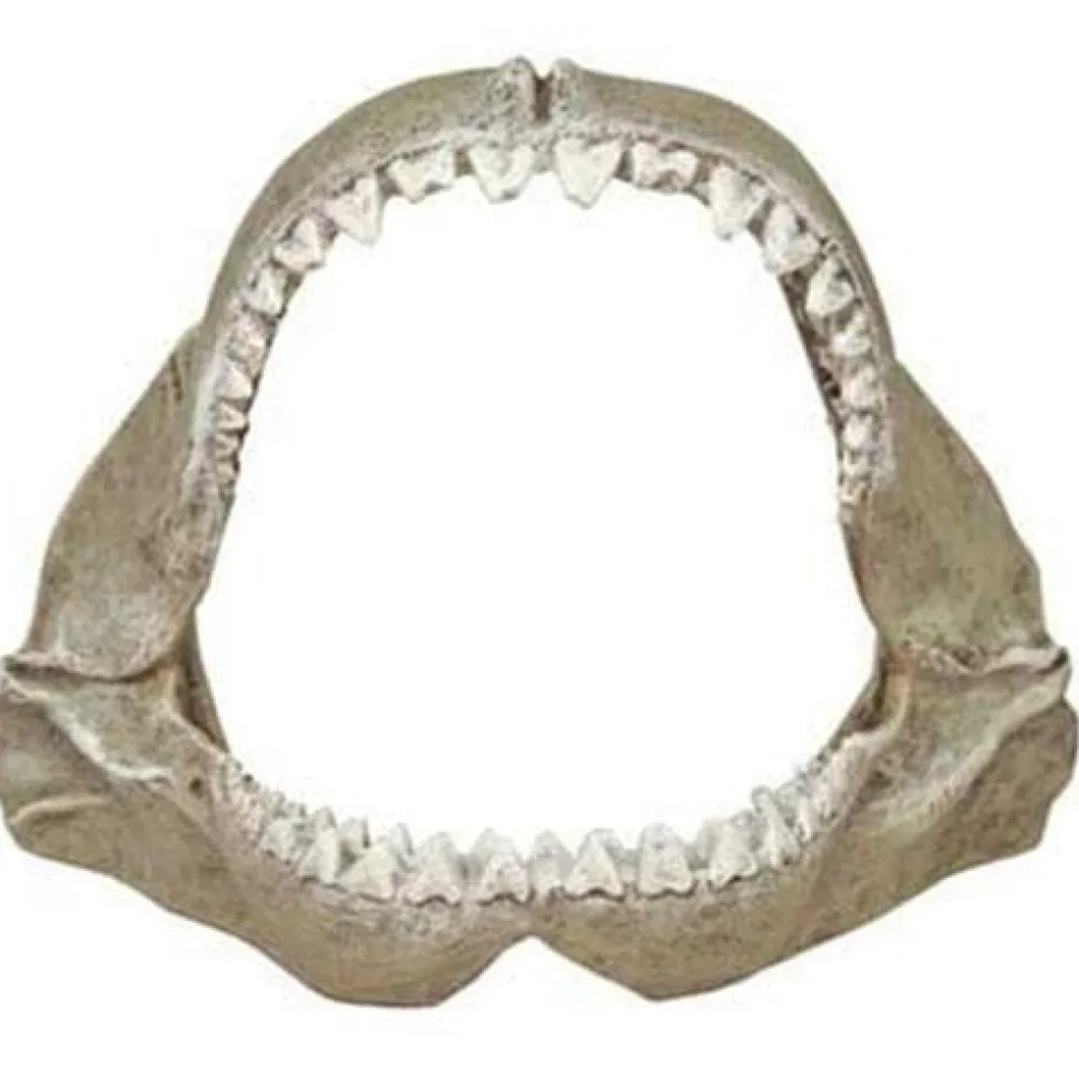 Exotic Environments Great White Shark Jaws Resin Aquatics Decoration - Gray - Small