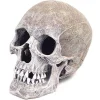 Exotic Environments Life-Like Human Skull Resin Aquatics Decoration - Gray - Small
