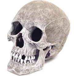 Exotic Environments Life-Like Human Skull Resin Aquatics Decoration - Gray - Small