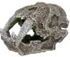 Exotic Environments Saber Tooth Skull Resin Aquatics Decoration - Gray - Extra Small