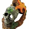 Exotic Environments Skull with Starfish Resin Aquatics Decoration - Small
