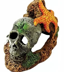 Exotic Environments Skull with Starfish Resin Aquatics Decoration - Small