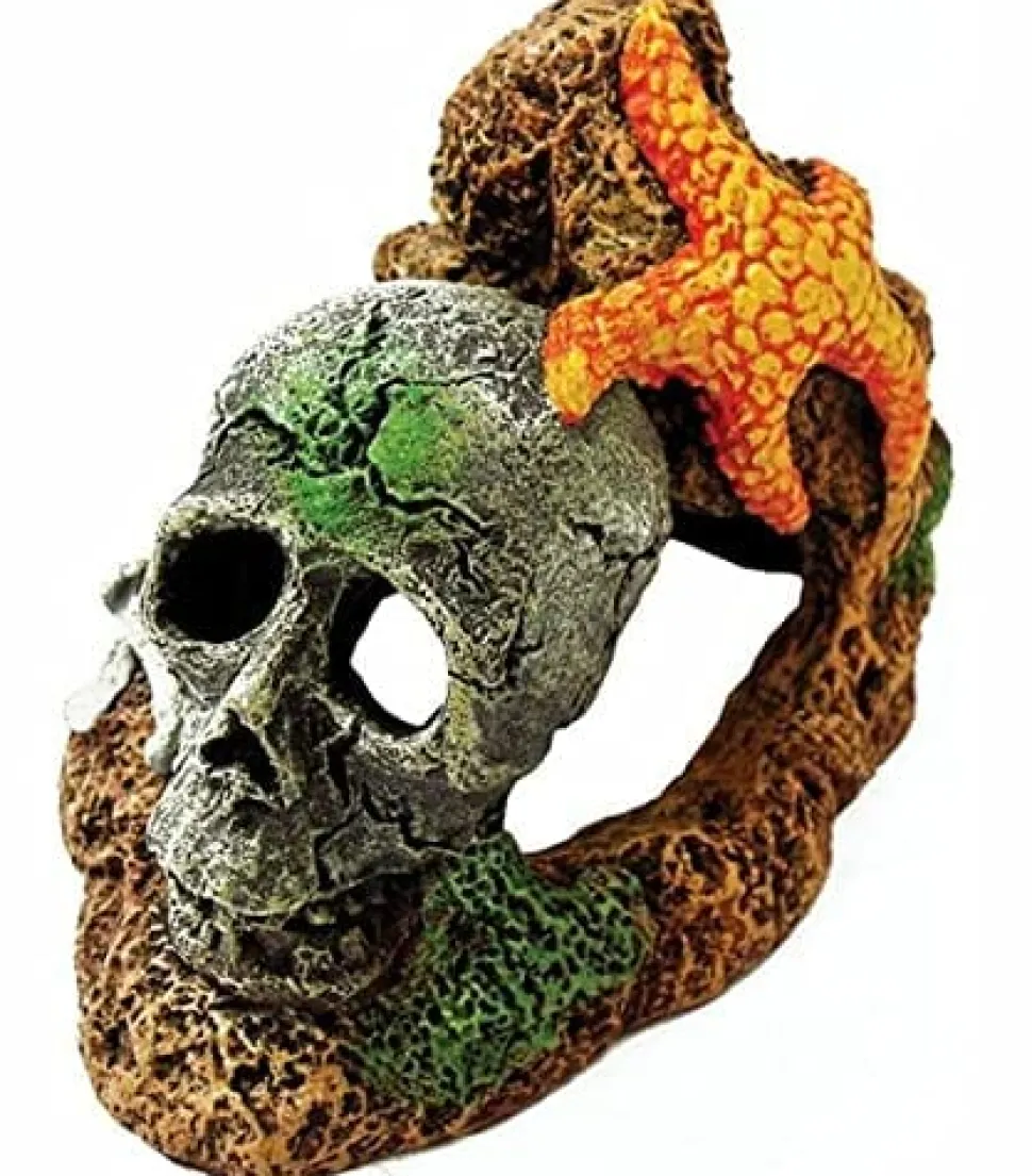 Exotic Environments Skull with Starfish Resin Aquatics Decoration - Small