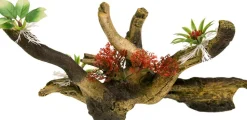 Exotic Environments Tree Branch With Foliage Resin Aquatics Decoration - Green/Brown - Small