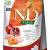 Farmina Grain-Free Pumpkin Chicken & Pomegranate Puppy Medium and Maxi Dry Dog Food - 26.4 lb Bag