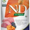 Farmina Grain-Free Pumpkin Lamb & Blueberry Adult Medium and Maxi Dry Dog Food - 5.5 lb Bag