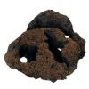 Feller Stone Carved Lava Rock - Large - Pack of 5