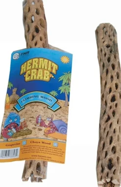 Florida Marine Research Hermit Crab Choya Wood - Brown - Large