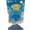 Florida Marine Research Swimming Pool - Neon Blue - Small