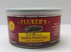 Fluker's Gourmet-Style Dubia Roaches - 1.2 oz