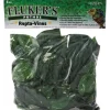 Fluker's Repta-Vines - Pothos - 6"