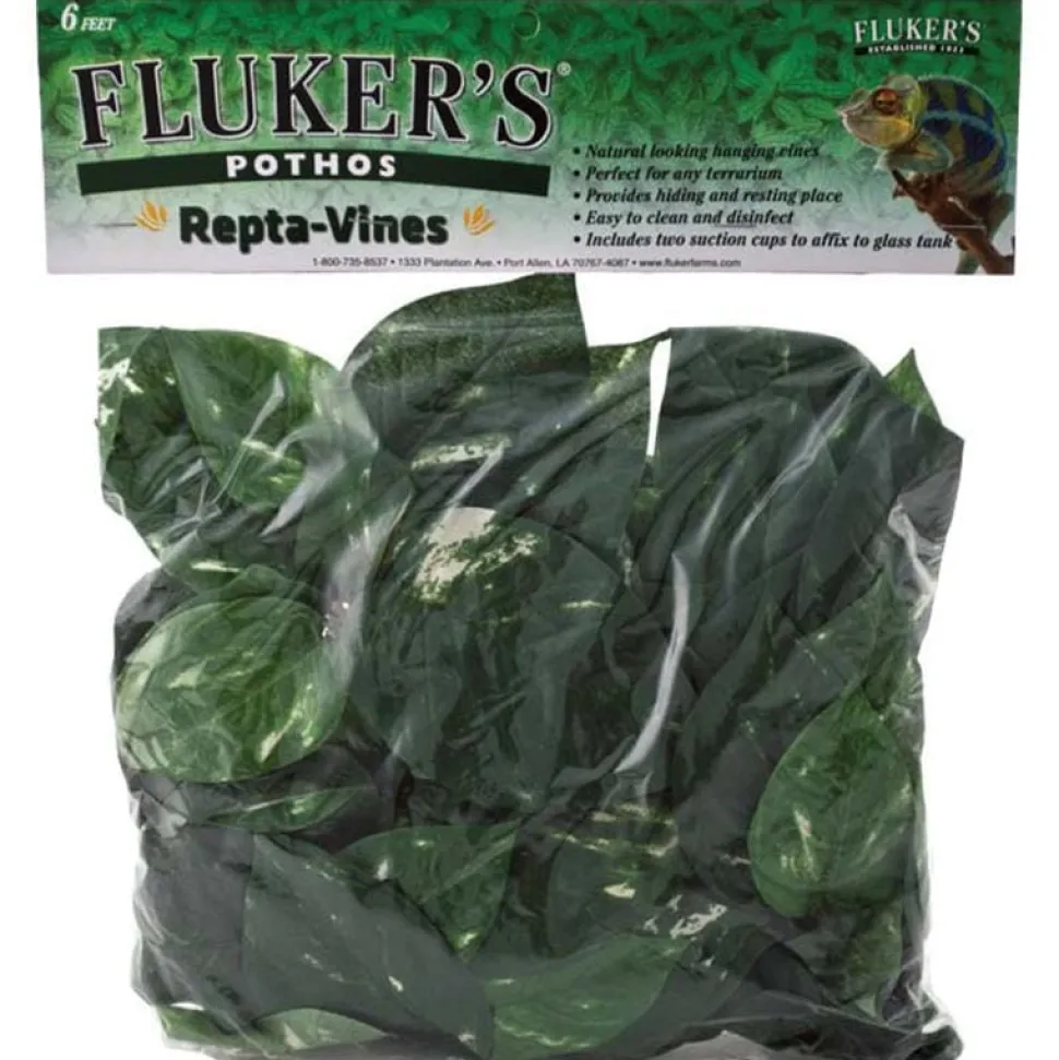 Fluker's Repta-Vines - Pothos - 6"