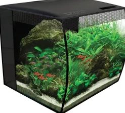 Fluval Flex Freshwater Kit - Black - 9 gal