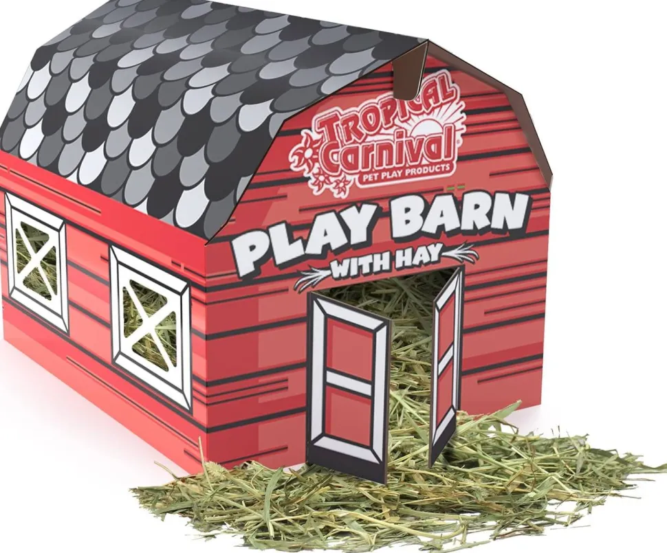 F.M. Brown's Large Play Barn with Hay Small Animal Bedding - 8 oz