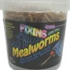F.M. Brown's Mealworms Fixins Wild Bird Food - 3 oz