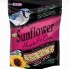 F.M. Brown's Sunflower Seeds Medium Hearts & Chips Wild Bird Food - 3 lb Bag