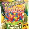 F.M. Brown's Super Premium Sunflower Yummies Bird Treats - 3.5 oz