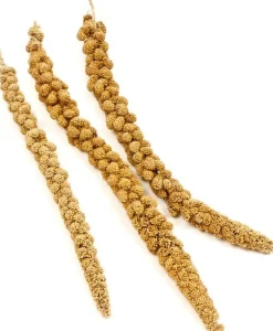 F.M. Brown's Super Premium Golden California Millet Sprays 2 Bird Treats - 320 Count