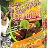 F.M. Brown's Tropical Carnival High-C Small Animal Treats - 2.25 oz