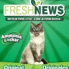 Fresh News Fresh News Cat Litter - 4 lb Bag - 6 Count