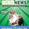 Fresh News Small Animal Bedding - 14.7 lb Bag