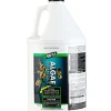 Fritz Algae Clean Out - 1 gal
