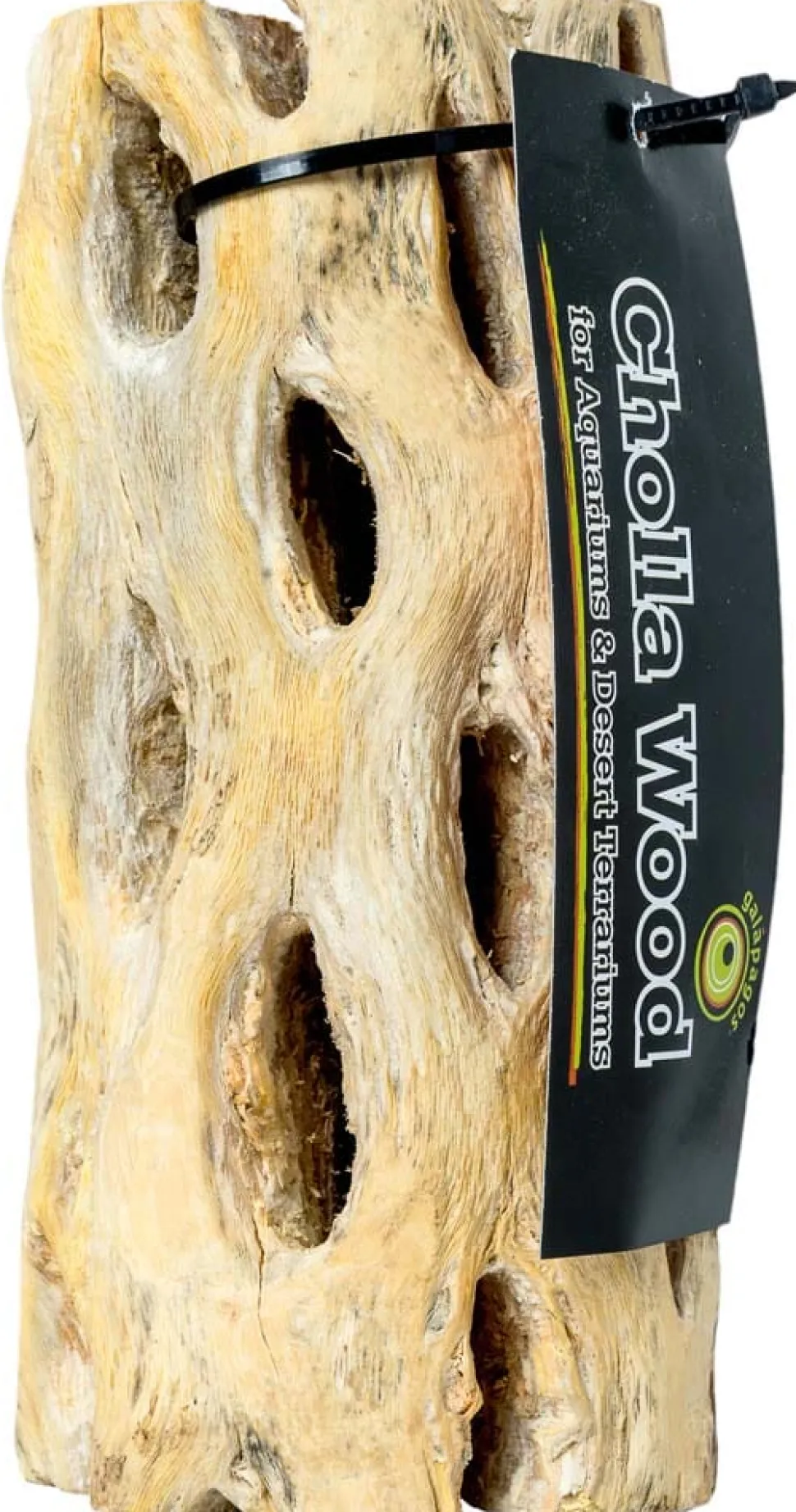 Galapagos Cactus Skeleton Cholla Wood - Brown - 12 in