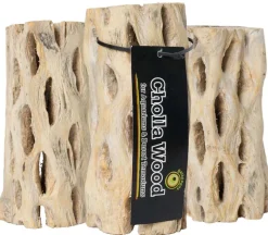Galapagos Cactus Skeleton Cholla Wood - Brown - 6 in - 3 Pieces