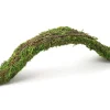 Galapagos Flexible Bridge Terrarium Ornament - Fresh Green - 2 ft