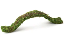 Galapagos Flexible Bridge Terrarium Ornament - Fresh Green - 2 ft