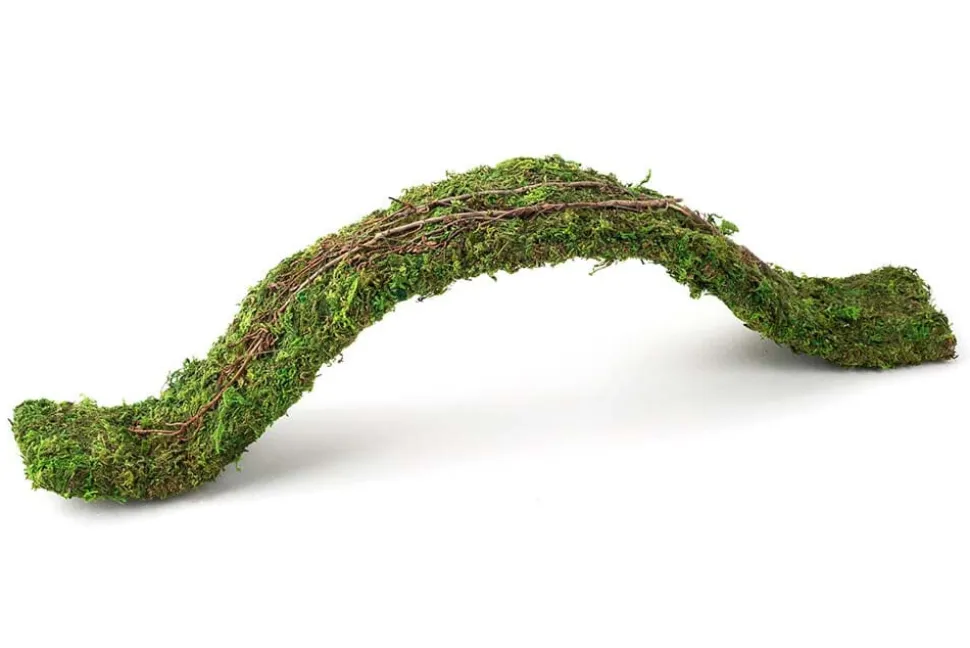 Galapagos Flexible Bridge Terrarium Ornament - Fresh Green - 2 ft