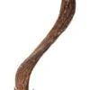 Galapagos Jungle Wood - Brown - 24 in