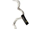 Galapagos Jungle Wood - White - 24 in