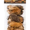 Galapagos Magnolia Leaves for Tropical & Bioactive Habitats - Brown - 4 qt