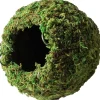 Galapagos Mossy Cave Terrarium Hideaway - Fresh Green - 4 in