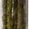 Galapagos Mossy Sticks Terrarium Ornament - Fresh Green - 32 in - 6 Count