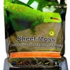 Galapagos Sheet Moss Decorative Sheet of Real Moss Substrate - Fresh Green - 8 Qt
