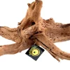 Galapagos Sinkable Driftwood Brown - 11-13 in - Medium