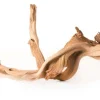 Galapagos Staghorn Wood Manzanita Root - Brown - 13 In - 18 in