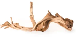 Galapagos Staghorn Wood Manzanita Root - Brown - 13 In - 18 in
