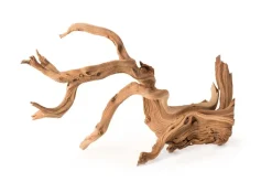 Galapagos Staghorn Wood Manzanita Root - Brown - 19 In - 24 in