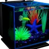 Glofish Betta Tinted Aquarium Kit Aquatics Starter Kits - 3 Gal