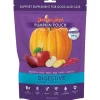 Grandma Lucy's Pumpkin Pouch Digestive Dog and Cat Supplements - 6 oz Bag