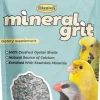 Higgins Sunburst Gourmet Mineral Grit Bird Treat Sticks - 6 Oz