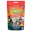 Higgins Sunburst Gourmet Large Fruit & Veggie Bird Treats - 20 Lbs