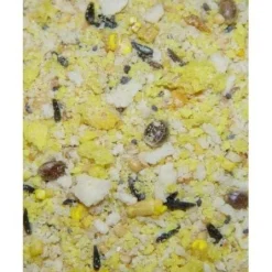 Higgins Sunburst Gourmet Proteen Egg Food Bird Treats - 20 Lbs