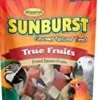 Higgins Sunburst Gourmet True Fruits Bird Treat Sticks - 5 Oz