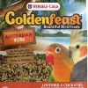 Higgins VL Goldenfeast Australian Bird Food - 3 Lbs